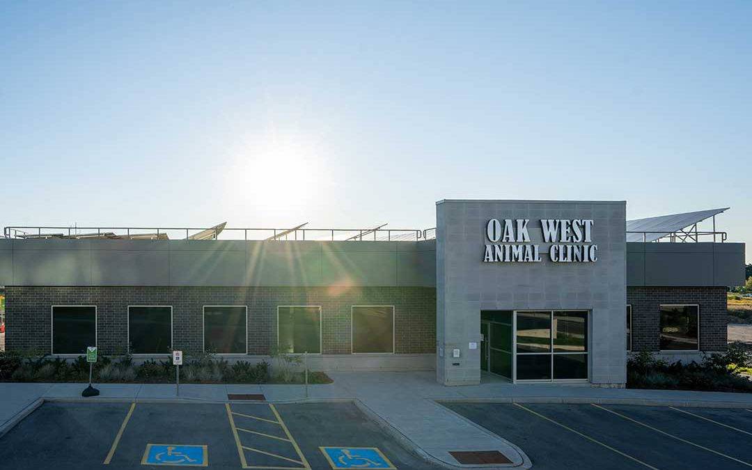 Oakridge West Animal Hospital – Sifton West 5