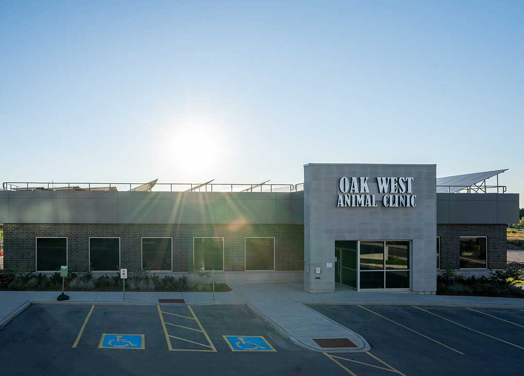 Oakridge West Animal Hospital - Sifton West 5 - D. Grant Construction